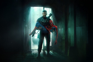 Spider Man X Punisher Crossover (2048x1152) Resolution Wallpaper