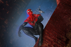 Spiderman And Pigeon (1600x1200) Resolution Wallpaper