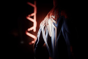 Spiderman Back Spider Logo 4k