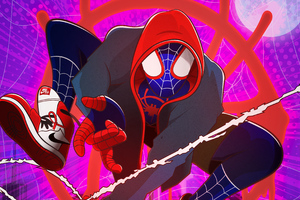 Spiderman Graphic Design Artwork