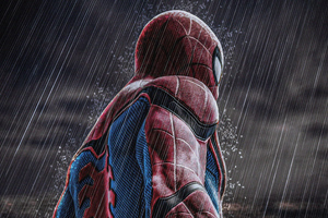 Spiderman In Rain 4k (3840x2400) Resolution Wallpaper