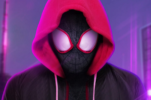 SpiderMan Into The Spider Verse 2018 Digital Artwork