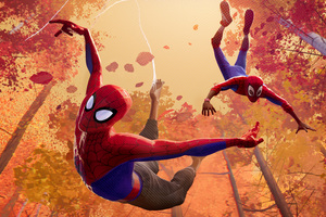 SpiderMan Into The Spider Verse Movie 4k