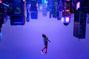 Spiderman Into The Spiderverse Movie Wallpaper