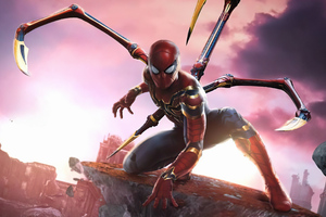 Spiderman Iron Suit