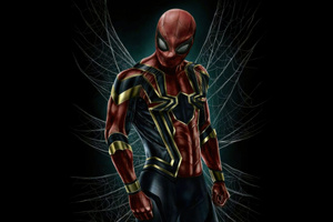 Spiderman Knight Of Justice (2048x1152) Resolution Wallpaper