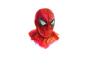 Spiderman Minimalism Artwork