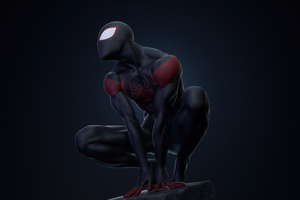 Spiderman Ready To Fight Wallpaper