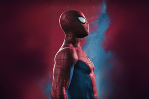 Spiderman Rises (1024x768) Resolution Wallpaper