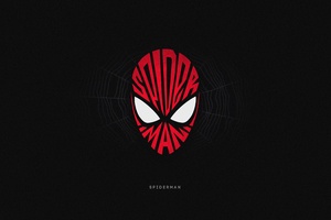 Spiderman Superhero Minimal 4k Wallpaper