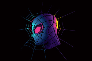 Spiderman Web Minimalist Art 4k