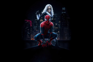 Spiderman X Black Cat (2048x2048) Resolution Wallpaper
