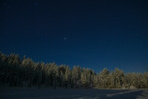 Stars Shining Brightly Over Snowy Trees (1280x720) Resolution Wallpaper