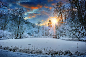 Sunbeams Landscape Snow In Winter Trees 4k
