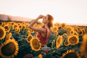 Sunflowers Field Dress Women 4k