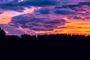 Sunset Clouds Forest 4k