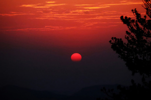 Sunset During Golden Hour (320x240) Resolution Wallpaper