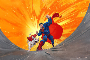Superman X Hero Pet (2048x2048) Resolution Wallpaper