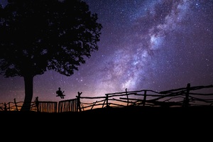 Swing With The Stars In The Sky (2560x1024) Resolution Wallpaper