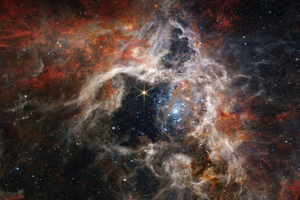 Tarantula Nebula (1440x900) Resolution Wallpaper