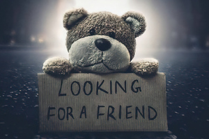 Teddy Bear Looking For A Friend (2048x2048) Resolution Wallpaper