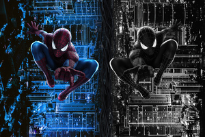 The Amazing Spider Man Vs Black Spiderman Wallpaper
