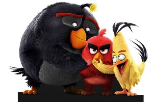 The Angry Birds 8k Wallpaper