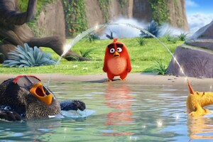 The Angry Birds Movie Latest (2560x1700) Resolution Wallpaper