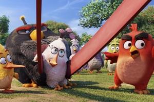 The Anrgy Birds Movie 4k