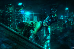 The Catwoman (1336x768) Resolution Wallpaper