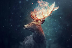 The Deer (2560x1600) Resolution Wallpaper