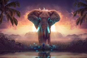 The Elephant Dream