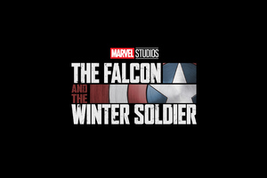 The Falcon And The Winter Solider 2020 Disney Plus