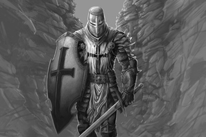 The Knight (2560x1600) Resolution Wallpaper