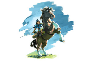 The Legend Of Zelda Breath Of The Wild 8k (7680x4320) Resolution Wallpaper