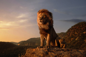 The Lion King 4k Wallpaper