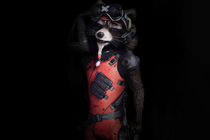 The Rocket Raccoon Guardians Of The Galaxy 5k Wallpaper