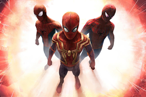 The Spider Trio Wallpaper