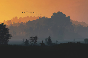 The Witcher 3 Minimal Nature 5k (1366x768) Resolution Wallpaper