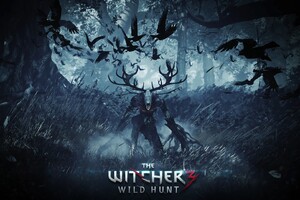 The Witcher 3 Wild Hunt Video Game