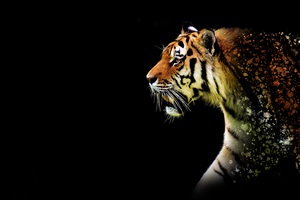 Tiger Abstract 5k Wallpaper