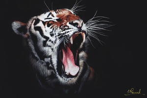 Tiger Roar (2932x2932) Resolution Wallpaper