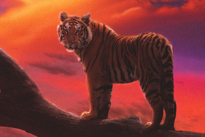 Tiger The Amber Dream (2048x1152) Resolution Wallpaper