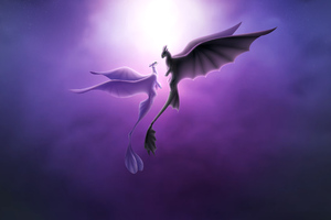 Toothless And Light Fury Romantic Love