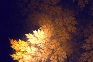 Tree Leaves 4k (2048x1152) Resolution Wallpaper