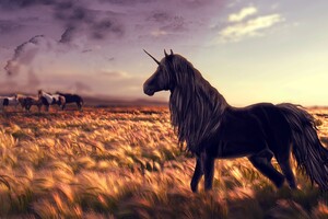 Unicorn In Field (2560x1600) Resolution Wallpaper