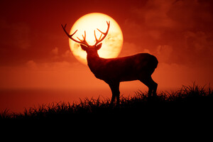 Unreal Deer Morning 4k Wallpaper