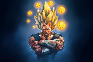 Vegeta Defender Of Tomorrow (2048x1152) Resolution Wallpaper