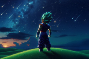 Vegeta Gazing At The Skies (2560x1600) Resolution Wallpaper