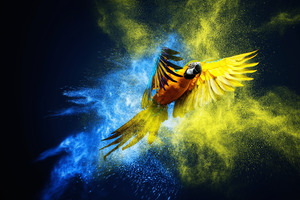 Vibrant Feathers Macaw S Colorful Dance (1400x900) Resolution Wallpaper